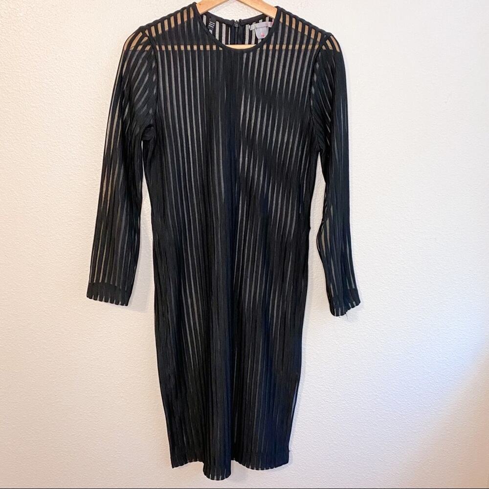 Cavalier Long Black Sheer Stripe Coverup Dress